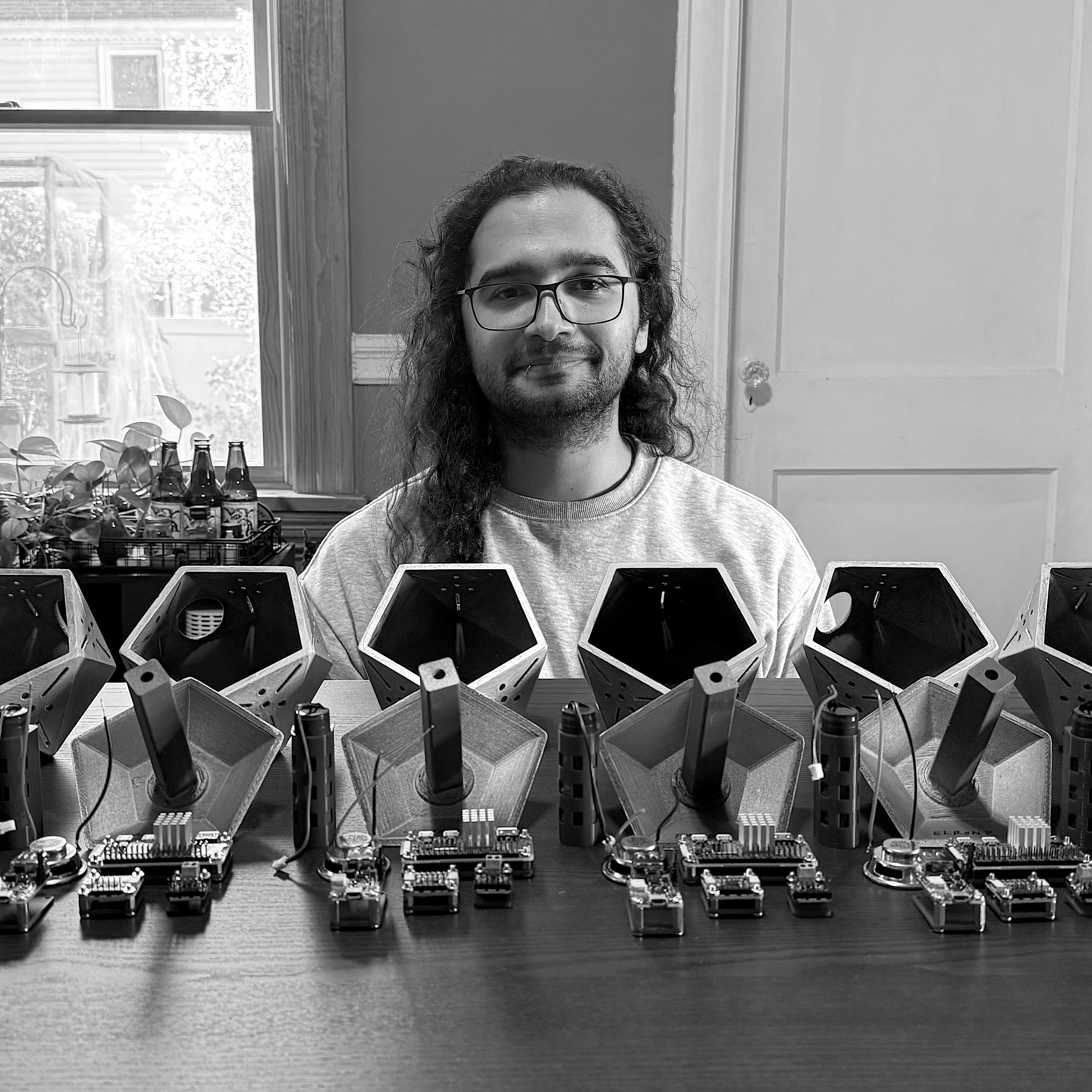 David in the Woods